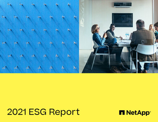 Miniature NetApp
 Rapport ESG 2021