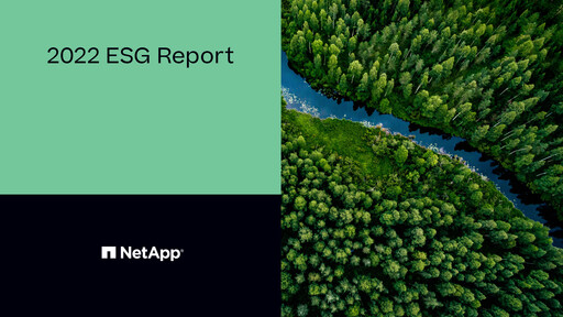 Miniature NetApp
 Rapport ESG 2022
