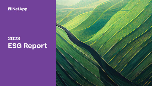 Miniature NetApp
 Rapport ESG 2023