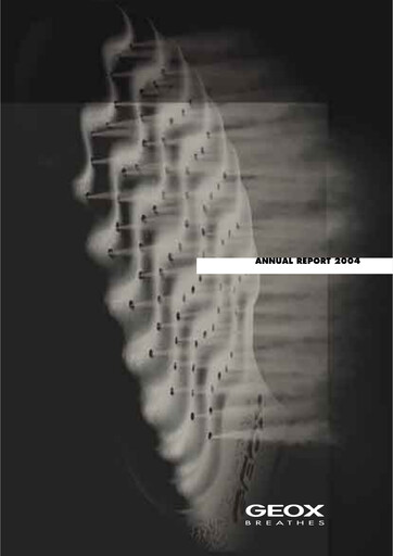 Thumbnail GEOX Annual Report 2004