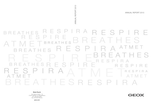 Thumbnail GEOX Annual Report 2013
