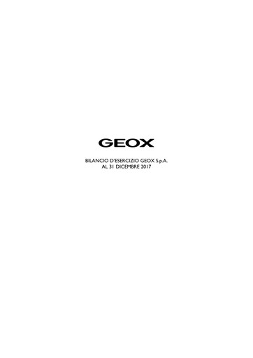 Thumbnail GEOX Financial Statement 2017