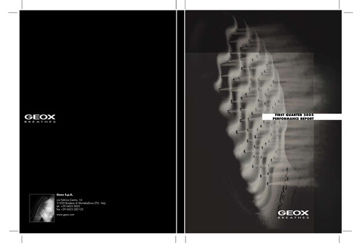 Thumbnail GEOX Quarterly Report 2005-q1