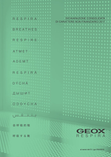 Thumbnail GEOX Sustainability Report 2017