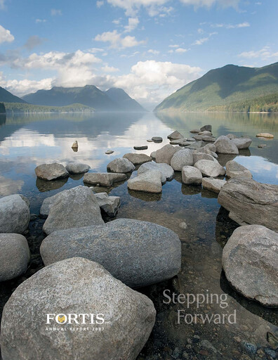 Thumbnail Fortis Annual Report 2007