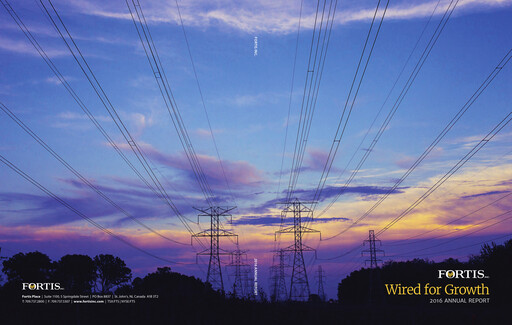 Thumbnail Fortis Annual Report 2016