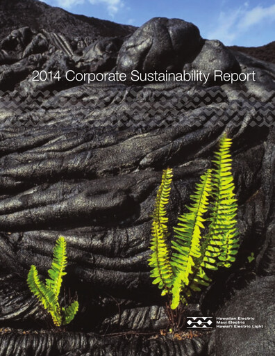 Vorschaubild Hawaiian Electric Industries Nachhaltigkeitsbericht 2014