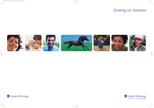 Thumbnail Lloyds Banking Group
 Annual Report 2001