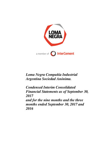 Thumbnail Loma Negra Financial Statement 2017-q3