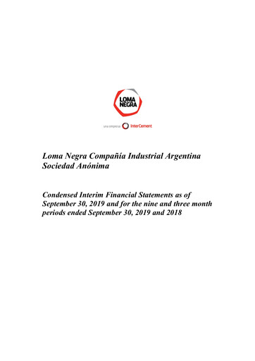Thumbnail Loma Negra Financial Statement 2019-q3