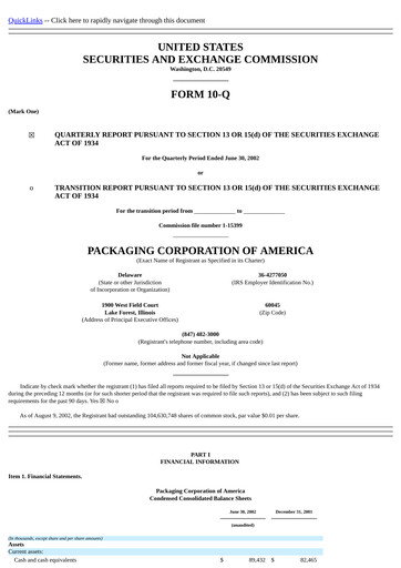 Thumbnail Packaging Corporation of America
 Quarterly Report 2002-q2