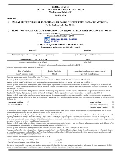 Thumbnail Madison Square Garden Sports Annual Report 2024