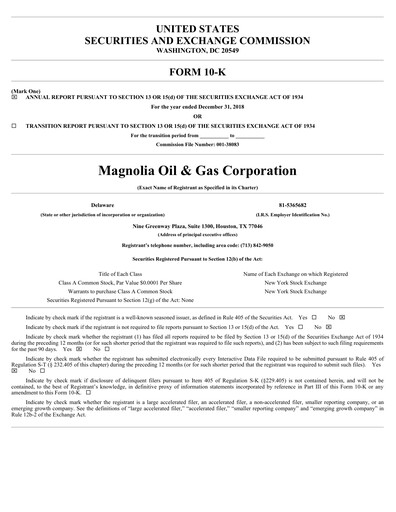 Miniature Magnolia Oil & Gas Rapport annuel 2018