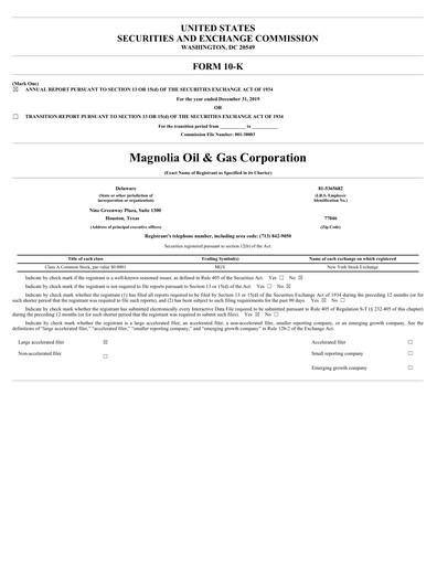 Miniature Magnolia Oil & Gas Rapport annuel 2019