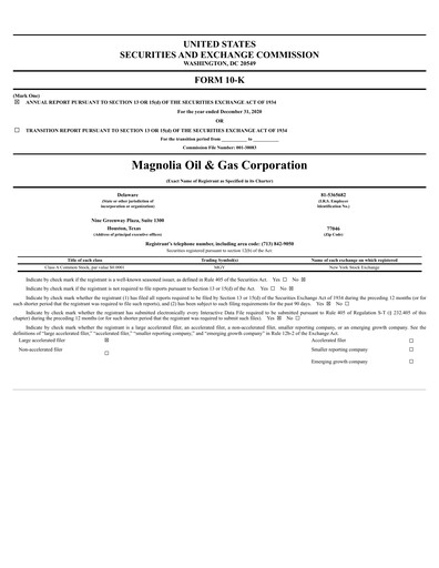 Miniature Magnolia Oil & Gas Rapport annuel 2020
