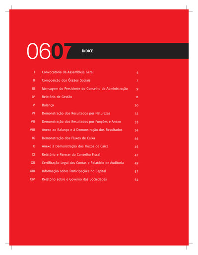 Thumbnail Sport Lisboa e Benfica Annual Report 2006-2007
