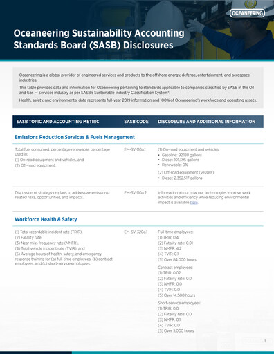 Miniature Oceaneering International
 Rapport de durabilité 2019