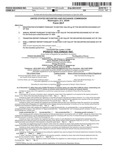 Vorschaubild POSCO Jahresbericht 2025