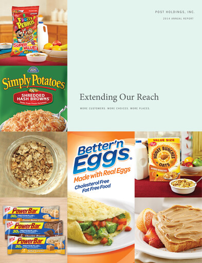Thumbnail Post Holdings
 Annual Report 2014