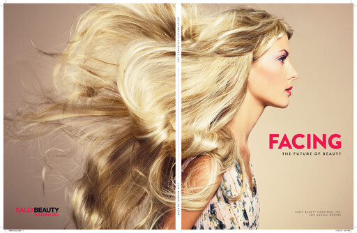 Thumbnail Sally Beauty Holdings Annual Report 2013