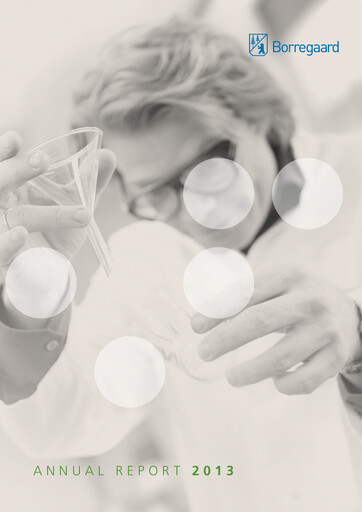 Vorschaubild Borregaard Jahresbericht 2013