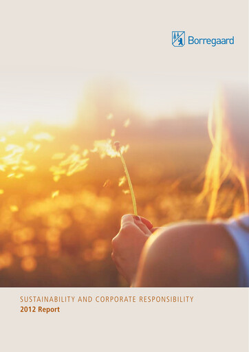 Vorschaubild Borregaard Nachhaltigkeitsbericht 2012