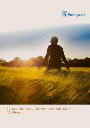 Vorschaubild Borregaard Nachhaltigkeitsbericht 2013