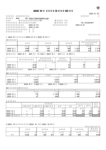 Thumbnail Imagineer Financial Statement fy2024