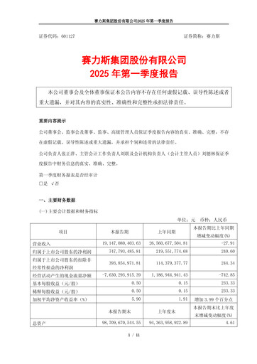Thumbnail Seres Group  Quarterly Report 2025-q1