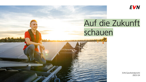 Thumbnail EVN Group
 Annual Report 2024