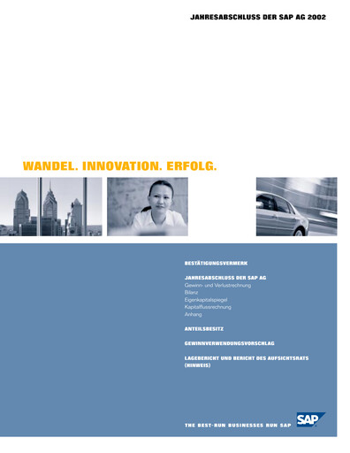 Thumbnail SAP Financial Statement 2002