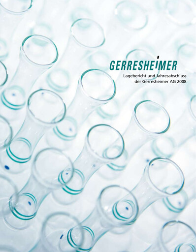 Thumbnail Gerresheimer Financial Statement 2008