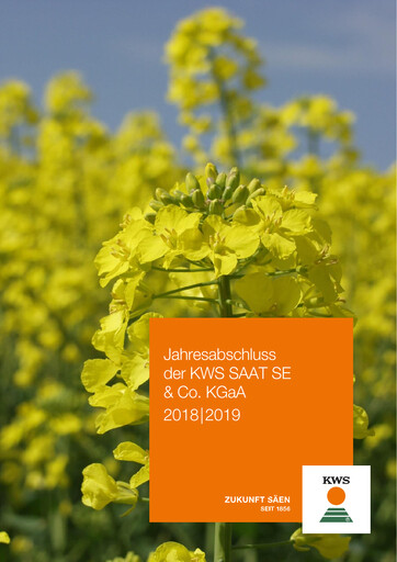 Thumbnail KWS Financial Report 2018-2019