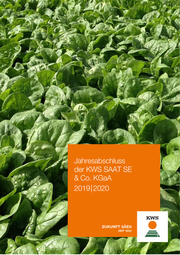 Thumbnail KWS Financial Report 2019-2020