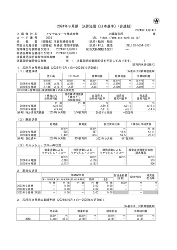 Thumbnail Axel Mark Financial Statement fy2024