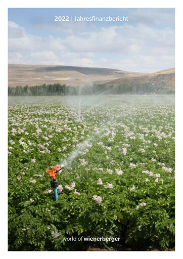 Thumbnail Wienerberger Financial Statement 2022