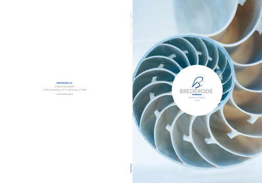 Thumbnail Brederode Annual Report 2018