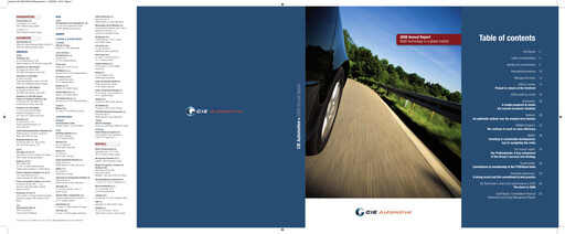 Miniature CIE Automotive
 Rapport annuel 2008