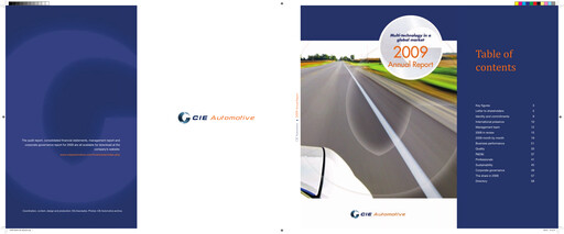 Miniature CIE Automotive
 Rapport annuel 2009