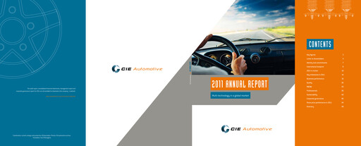 Miniature CIE Automotive
 Rapport annuel 2011