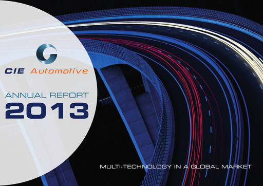 Miniature CIE Automotive
 Rapport annuel 2013