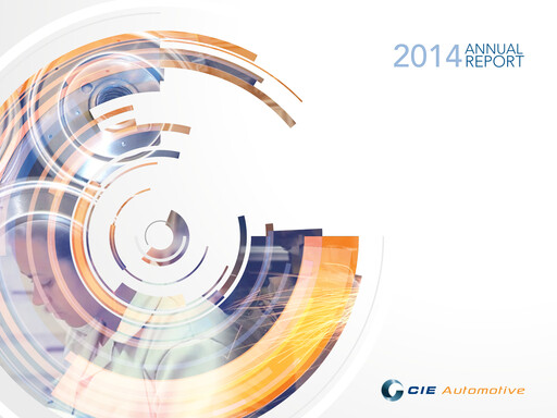 Miniature CIE Automotive
 Rapport annuel 2014