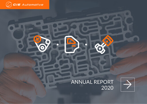 Miniature CIE Automotive
 Rapport annuel 2020