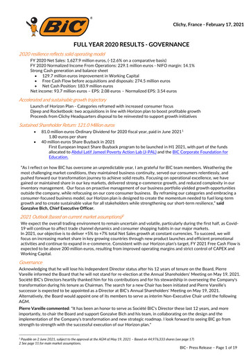 Vorschaubild BIC Finanzbericht 2020