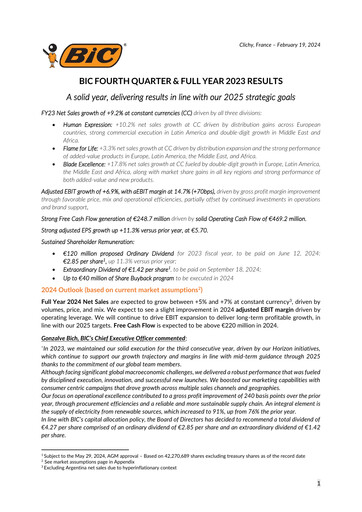 Vorschaubild BIC Finanzbericht 2023