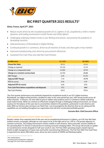 Vorschaubild BIC Quartalsbericht 2021-q1
