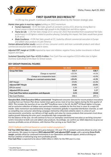 Vorschaubild BIC Quartalsbericht 2023-q1