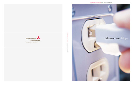 Vorschaubild Southern Company Jahresbericht 2003