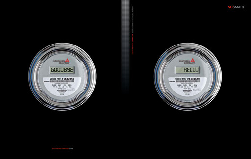 Vorschaubild Southern Company Jahresbericht 2008