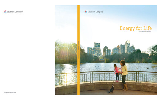 Vorschaubild Southern Company Jahresbericht 2018